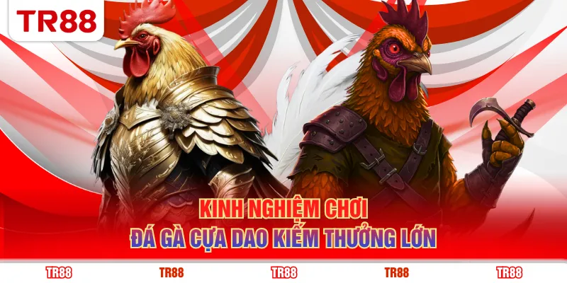 Kinh nghiệm chơi đá gà cựa dao kiếm thưởng lớn