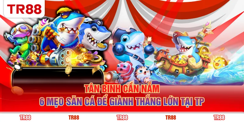 Tân binh cần nắm 6 mẹo săn cá để giành thắng lớn tại TP